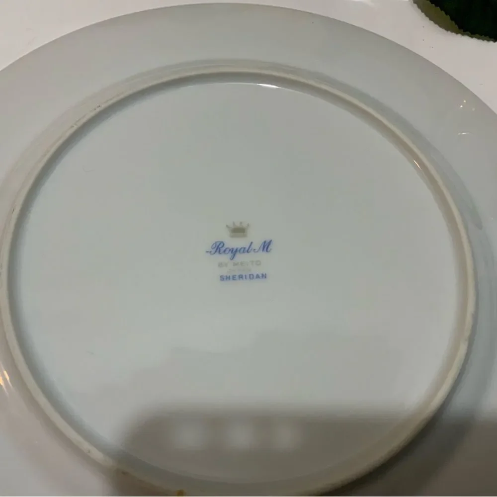 Royal M Meito Sheridan Rimmed 10 1/2” dinner plate G 6